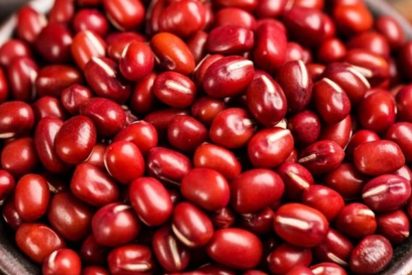 紅豆可以補(bǔ)氣血嗎 紅豆對身體的好處 紅豆可以補(bǔ)氣血嗎 紅豆對身體的好處