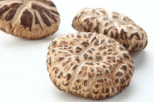 花菇產(chǎn)地哪里最好 花菇買干的好還是新鮮的好 花菇產(chǎn)地哪里最好 花菇買干的好還是新鮮的好