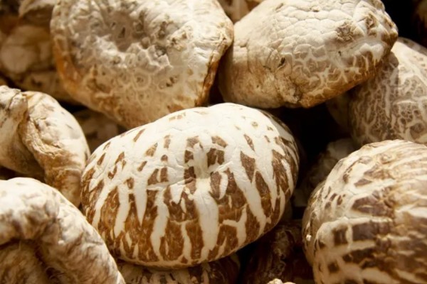 花菇會過期嗎 花菇過期了還能不能吃 花菇會過期嗎 花菇過期了還能不能吃