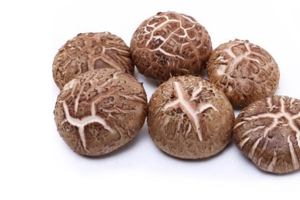 花菇產(chǎn)地哪里最好 花菇買干的好還是新鮮的好 花菇產(chǎn)地哪里最好 花菇買干的好還是新鮮的好