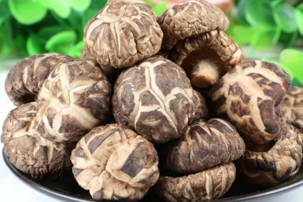 花菇產(chǎn)地哪里最好 花菇買干的好還是新鮮的好 花菇產(chǎn)地哪里最好 花菇買干的好還是新鮮的好