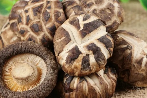 花菇會過期嗎 花菇過期了還能不能吃 花菇會過期嗎 花菇過期了還能不能吃