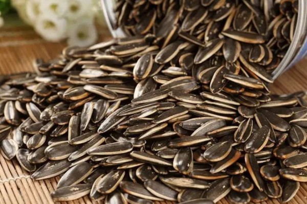 葵瓜子和南瓜子哪個(gè)更容易發(fā)胖 葵瓜子一天吃多少合適 葵瓜子和南瓜子哪個(gè)更容易發(fā)胖 葵瓜子一天吃多少合適