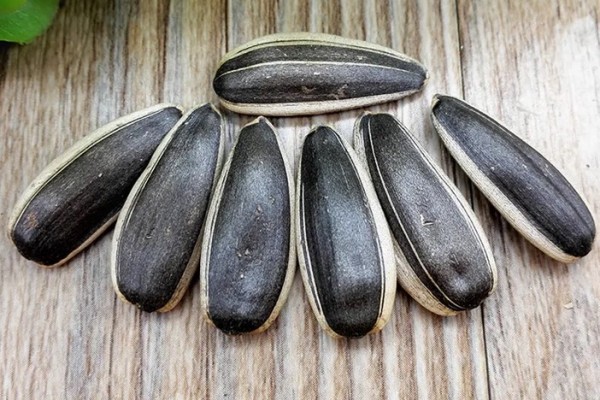 葵瓜子吃多了上火嗎 葵瓜子會導(dǎo)致過敏嗎