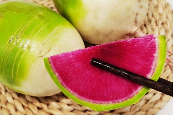 綠蘿卜的作用和功效 綠蘿卜可以做泡菜嗎 綠蘿卜的作用和功效 綠蘿卜可以做泡菜嗎