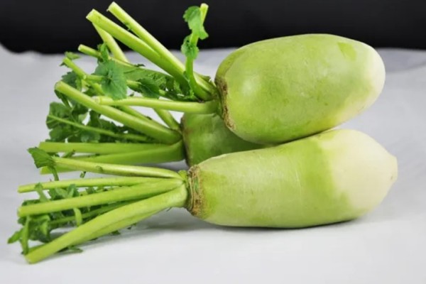 綠蘿卜空心了還能吃嗎 綠蘿卜吃多少合適 綠蘿卜空心了還能吃嗎 綠蘿卜吃多少合適