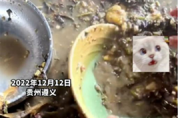 女子用豬食充當洗潔精洗碗引爭議 洗碗用什么洗干凈又健康 女子用豬食充當洗潔精洗碗引爭議 洗碗用什么洗干凈又健康