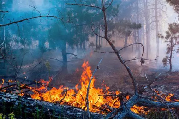 火球墜入浙江警方帶走疑似隕石碎片 發(fā)現(xiàn)火災(zāi)第一時(shí)間應(yīng)該怎么辦 火球墜入浙江警方帶走疑似隕石碎片 發(fā)現(xiàn)火災(zāi)第一時(shí)間應(yīng)該怎么辦