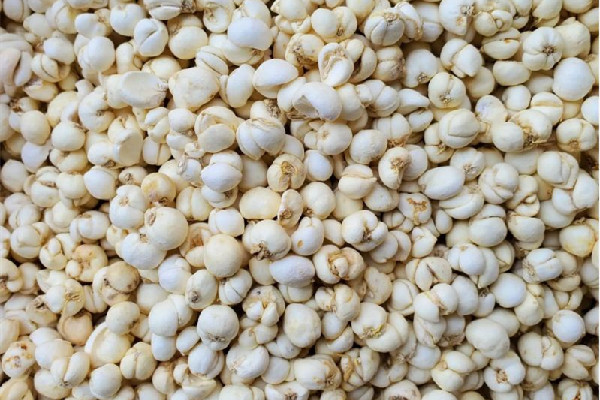 川貝要打碎燉雪梨嗎 川貝要熬多久才好 川貝要打碎燉雪梨嗎 川貝要熬多久才好