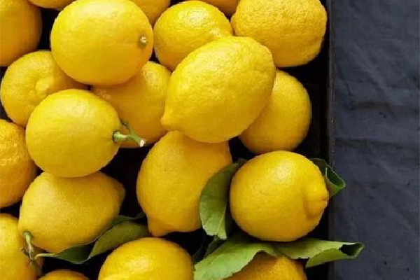 檸檬可以止咳嗎 檸檬怎么做可以止咳 檸檬可以止咳嗎 檸檬怎么做可以止咳