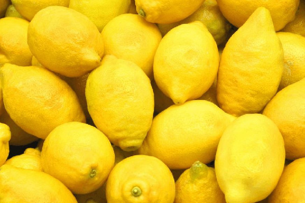 檸檬吃新鮮的好還是干的好 檸檬可以放保溫杯里泡嗎 檸檬吃新鮮的好還是干的好 檸檬可以放保溫杯里泡嗎