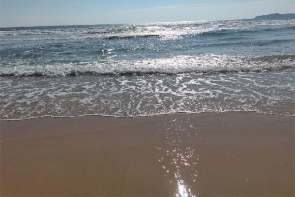 三亞18萬(wàn)天價(jià)酒店一房難求 三亞有什么特產(chǎn)值得買回家