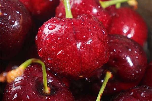 車?yán)遄右I幾j的 車?yán)遄淤I多大的合適 車?yán)遄右I幾j的 車?yán)遄淤I多大的合適