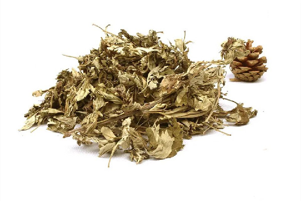 艾草熏房間要多長時間 艾草熏房間后需要通風多久