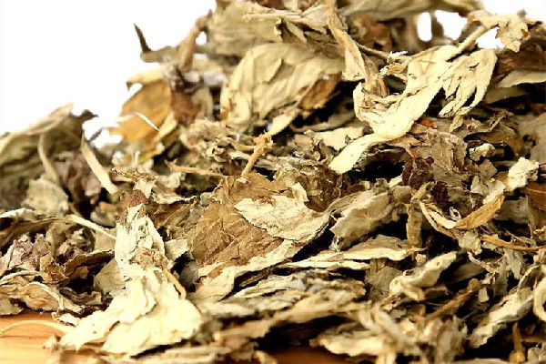 艾草什么時(shí)候采摘最好 艾草泡水喝有什么功效和作用 艾草什么時(shí)候采摘最好 艾草泡水喝有什么功效和作用