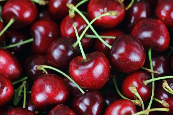 車?yán)遄右I幾j的 車?yán)遄淤I多大的合適 車?yán)遄右I幾j的 車?yán)遄淤I多大的合適