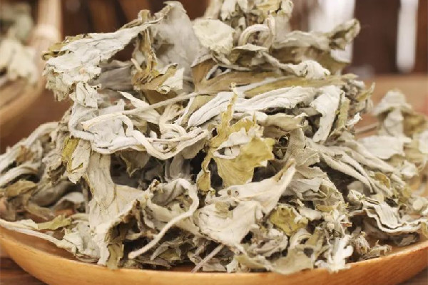 艾草用沸水煮才能用嗎 艾草用開(kāi)水煮好還是溫水泡好