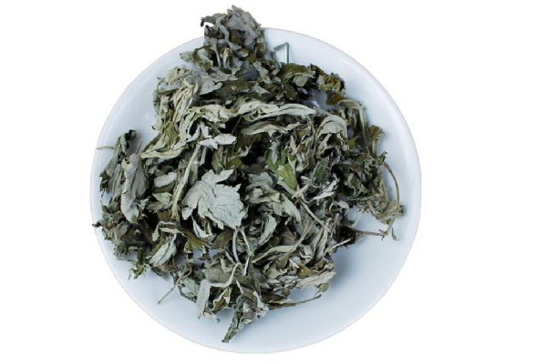 艾草適合天天熏嗎 艾草熏多了會怎樣 艾草適合天天熏嗎 艾草熏多了會怎樣