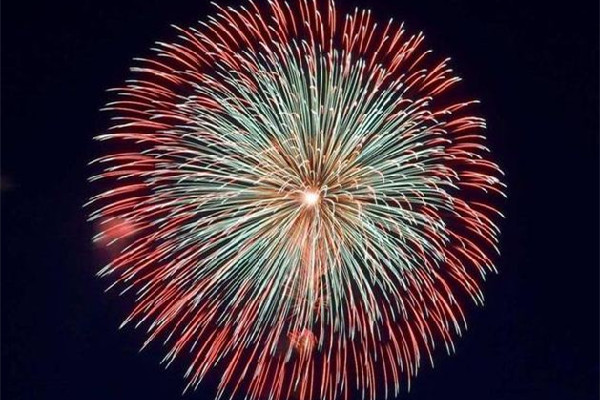 專(zhuān)家回應(yīng)燃放煙花爆竹能消滅病毒 煙花是用什么材料做的 專(zhuān)家回應(yīng)燃放煙花爆竹能消滅病毒 煙花是用什么材料做的