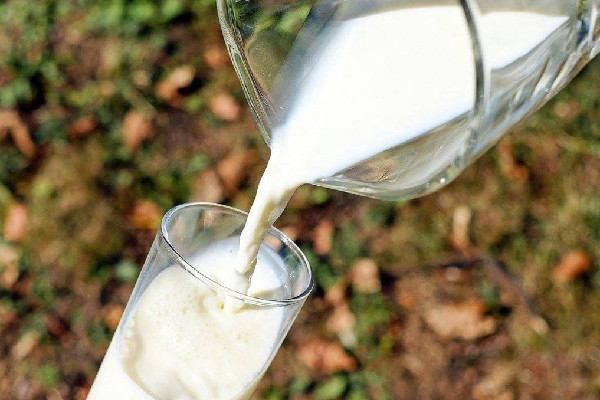 全脂牛奶要加熱喝嗎 全脂牛奶加熱后會損失蛋白質(zhì)嗎 全脂牛奶要加熱喝嗎 全脂牛奶加熱后會損失蛋白質(zhì)嗎