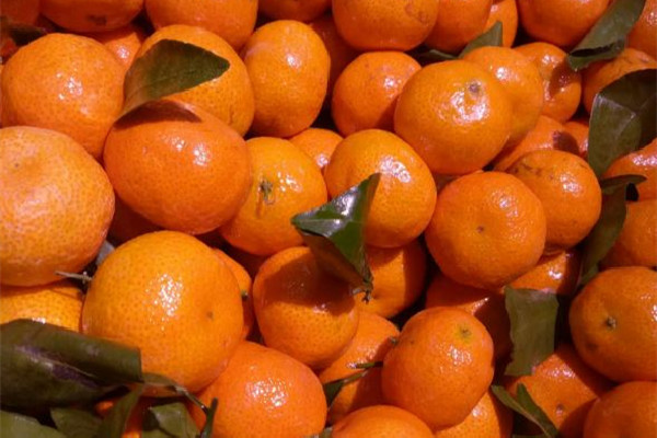 砂糖橘怎么保存不會腐爛 砂糖橘冰箱還是常溫保存 砂糖橘怎么保存不會腐爛 砂糖橘冰箱還是常溫保存