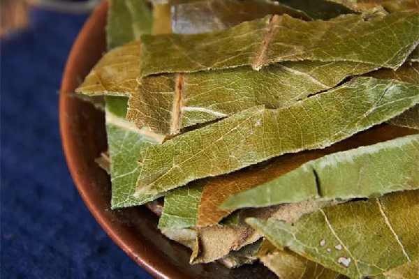 枇杷葉放時間長會壞嗎 枇杷葉的保質(zhì)期有多久 枇杷葉放時間長會壞嗎 枇杷葉的保質(zhì)期有多久