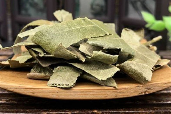 枇杷葉熬制枇杷膏做法 枇杷葉適合百日咳嗎 枇杷葉熬制枇杷膏做法 枇杷葉適合百日咳嗎