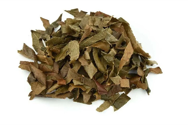 枇杷葉放時間長會壞嗎 枇杷葉的保質(zhì)期有多久 枇杷葉放時間長會壞嗎 枇杷葉的保質(zhì)期有多久