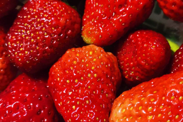 草莓用鹽水洗好嗎 草莓可以用淀粉洗嗎 草莓用鹽水洗好嗎 草莓可以用淀粉洗嗎