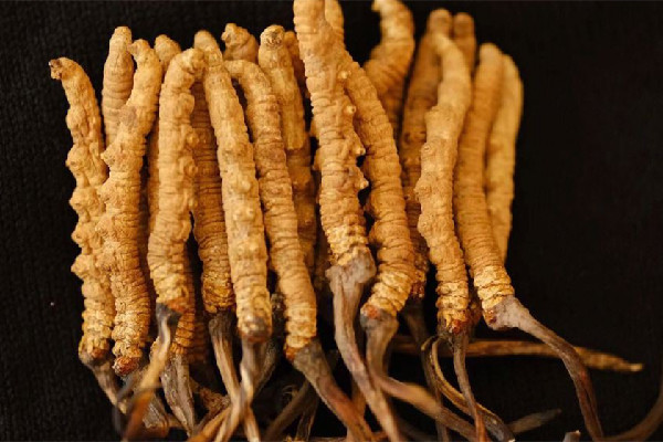 冬蟲(chóng)夏草的功效有哪些 冬蟲(chóng)夏草對(duì)心臟好嗎