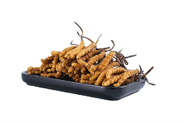 冬蟲夏草怎么辨真假 冬蟲夏草怎么選擇好壞 冬蟲夏草怎么辨真假 冬蟲夏草怎么選擇好壞