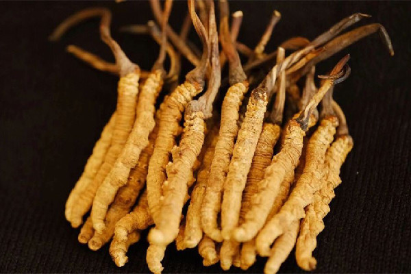 冬蟲(chóng)夏草的功效有哪些 冬蟲(chóng)夏草對(duì)心臟好嗎