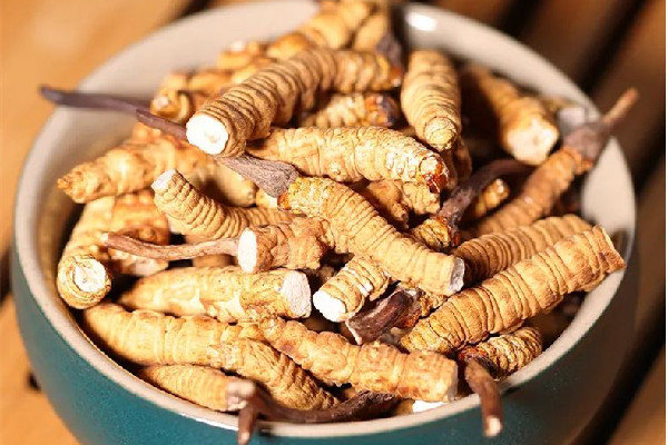 冬蟲夏草泡水是什么顏色 冬蟲夏草泡水喝的正確方法 冬蟲夏草泡水是什么顏色 冬蟲夏草泡水喝的正確方法