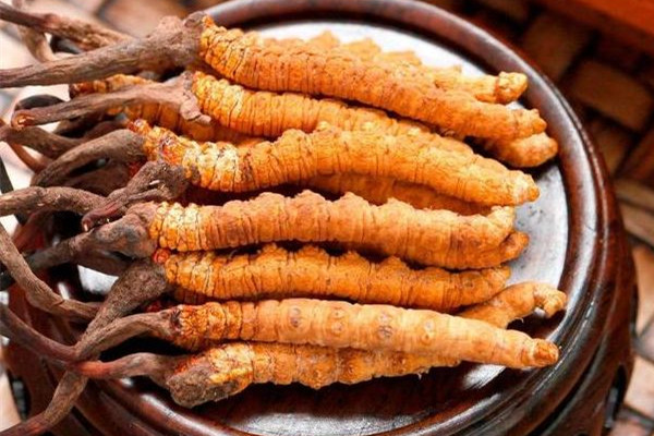 冬蟲(chóng)夏草的功效有哪些 冬蟲(chóng)夏草對(duì)心臟好嗎