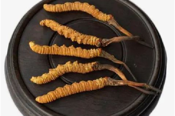 冬蟲夏草的價(jià)位大概是多少 冬蟲夏草哪個(gè)品牌質(zhì)量好 冬蟲夏草的價(jià)位大概是多少 冬蟲夏草哪個(gè)品牌質(zhì)量好