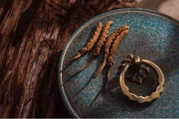 冬蟲夏草可以泡酒嗎 冬蟲夏草泡酒有什么作用和功效 冬蟲夏草可以泡酒嗎 冬蟲夏草泡酒有什么作用和功效