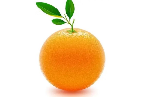 橙子怎么保存時(shí)間長 橙子可以放冰箱保鮮嗎 橙子怎么保存時(shí)間長 橙子可以放冰箱保鮮嗎