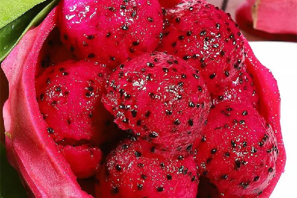 紅心火龍果可以和車?yán)遄右黄鸪詥?紅心火龍果吃多了有什么壞處 紅心火龍果可以和車?yán)遄右黄鸪詥?紅心火龍果吃多了有什么壞處