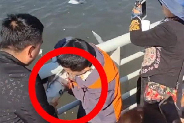 家長帶男孩抓海鷗硬生生塞進(jìn)罐子 海鷗是保護(hù)動物嗎 家長帶男孩抓海鷗硬生生塞進(jìn)罐子 海鷗是保護(hù)動物嗎