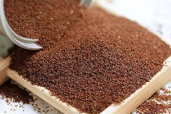 海藻面膜的正確使用方法 海藻面膜可以每天晚上都敷嗎 海藻面膜的正確使用方法 海藻面膜可以每天晚上都敷嗎