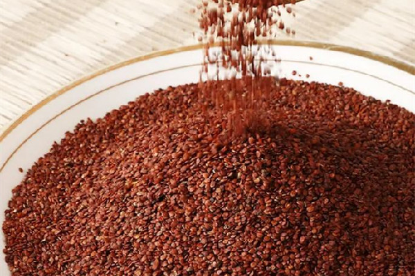 海藻面膜加什么可以美白淡斑 海藻面膜真的對皮膚好嗎 海藻面膜加什么可以美白淡斑 海藻面膜真的對皮膚好嗎