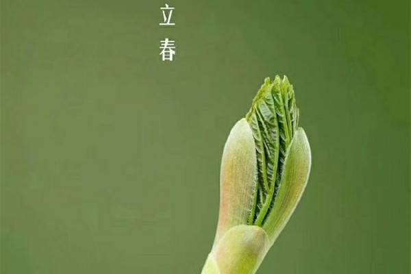 立春有什么講究和禁忌 立春回娘家有什么說法 立春有什么講究和禁忌 立春回娘家有什么說法