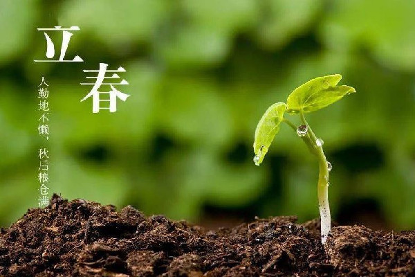 立春躲太歲需要多長時間 立春為什么要躲春