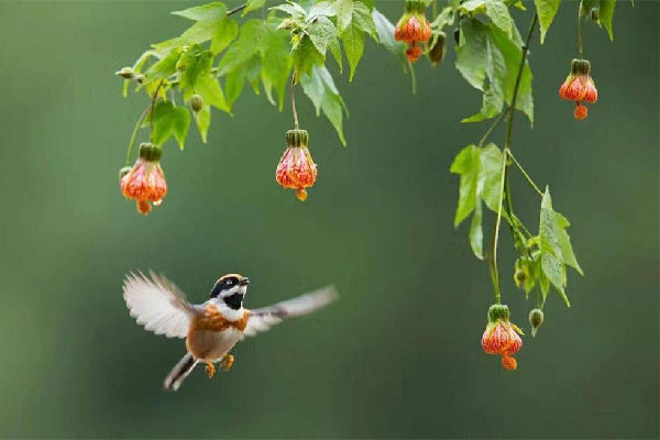 立春要注意哪些事項(xiàng) 立春可以請客吃飯嗎