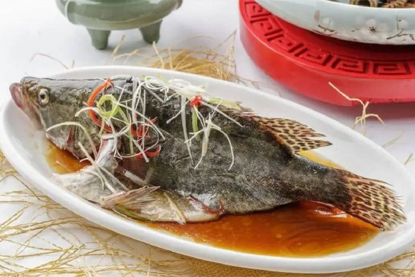 桂花魚多少錢一斤2023年市場(chǎng)價(jià) 桂花魚屬于海鮮嗎 桂花魚多少錢一斤2023年市場(chǎng)價(jià) 桂花魚屬于海鮮嗎