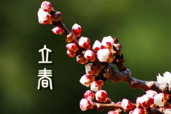 立春有什么講究和禁忌 立春回娘家有什么說法 立春有什么講究和禁忌 立春回娘家有什么說法