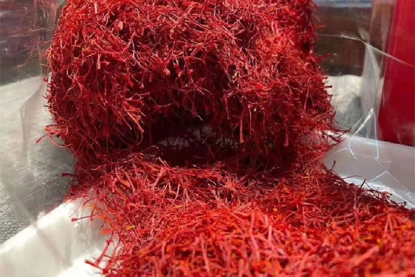 藏紅花是哪里產(chǎn)的 藏紅花買伊朗的好還是西藏的 藏紅花是哪里產(chǎn)的 藏紅花買伊朗的好還是西藏的