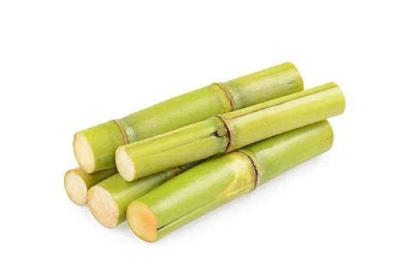 青甘蔗好吃還是紫甘蔗好吃 青甘蔗和紫甘蔗區(qū)別 青甘蔗好吃還是紫甘蔗好吃 青甘蔗和紫甘蔗區(qū)別