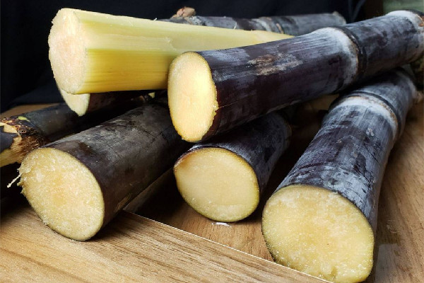 甘蔗煮水喝有什么樣的功效和作用 甘蔗煮水能治咳嗽嗎 甘蔗煮水喝有什么樣的功效和作用 甘蔗煮水能治咳嗽嗎