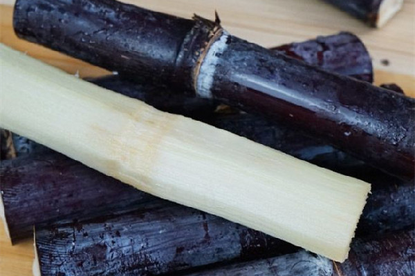 甘蔗有補(bǔ)血的功效嗎 甘蔗對(duì)嗓子有好處嗎 甘蔗有補(bǔ)血的功效嗎 甘蔗對(duì)嗓子有好處嗎